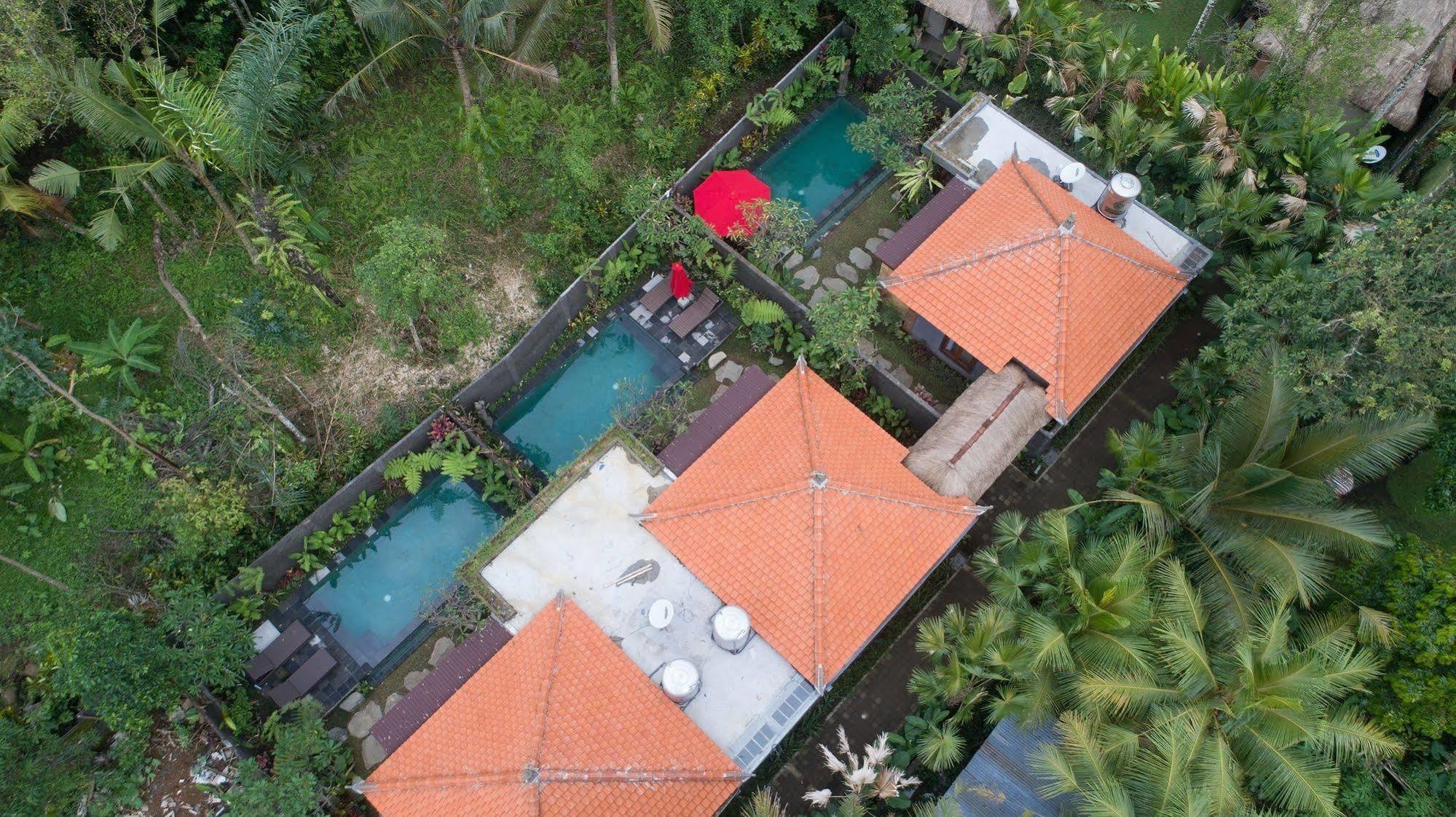Bunut Garden Luxury Private Villa Ubud  Ngoại thất bức ảnh
