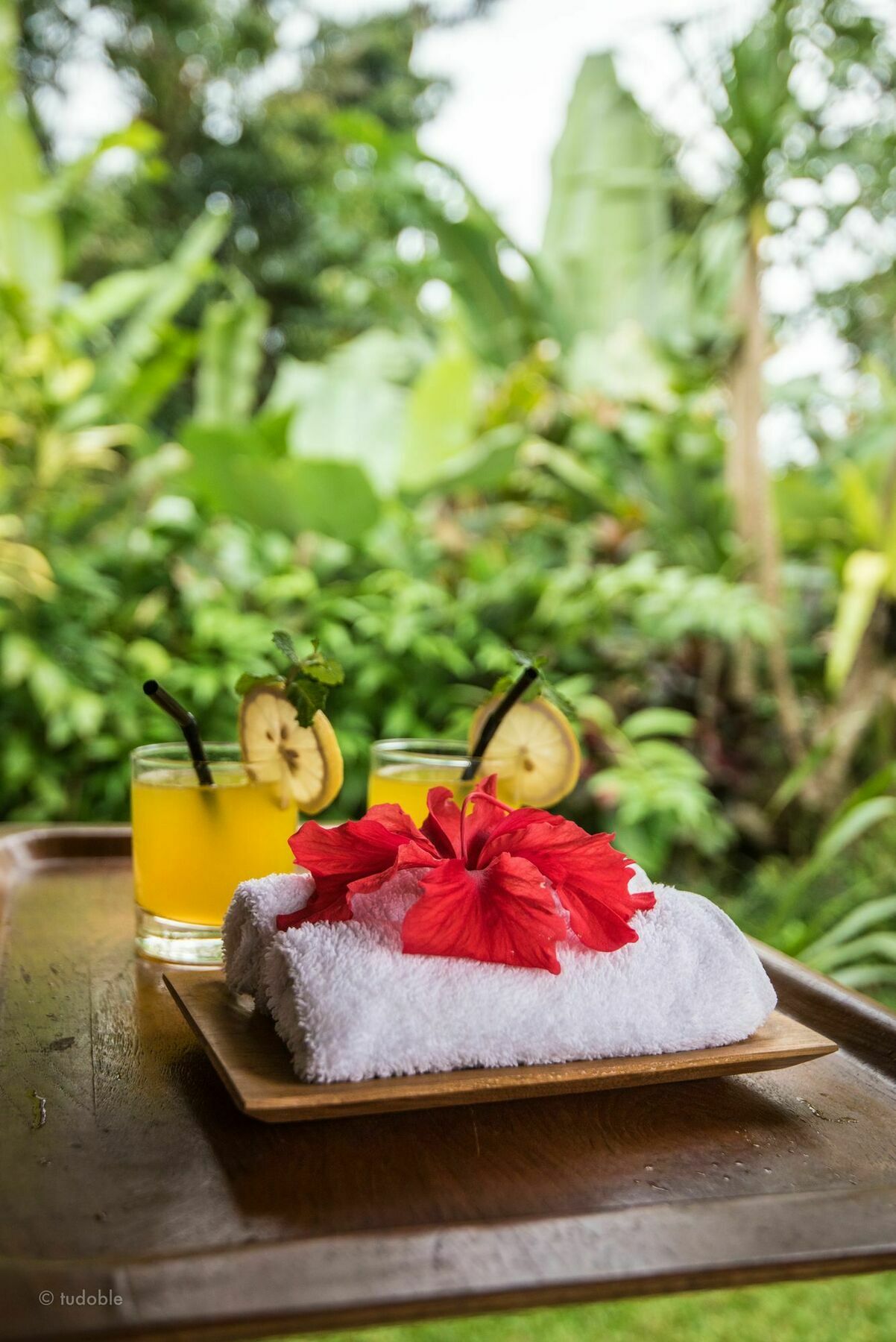 Bunut Garden Luxury Private Villa Ubud  Ngoại thất bức ảnh